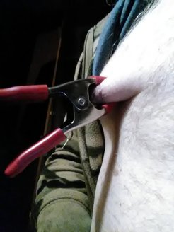 Nipple BDSM love