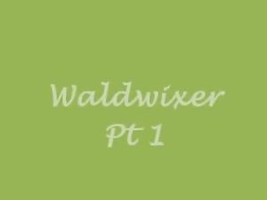 Waldwixer Pt 1