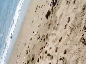 Str8 men jerking in beach for a slut