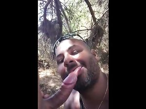 Bear sucking and eating -v2