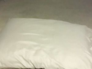 Black young man pillow humping cum handsfree